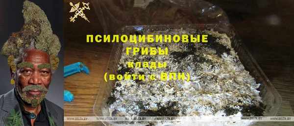 дживик Каменногорск