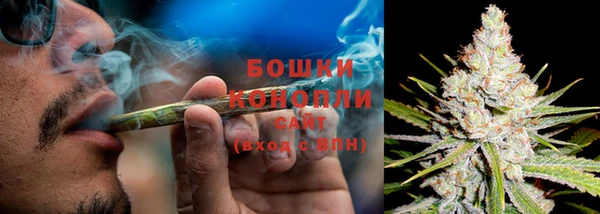дживик Каменногорск