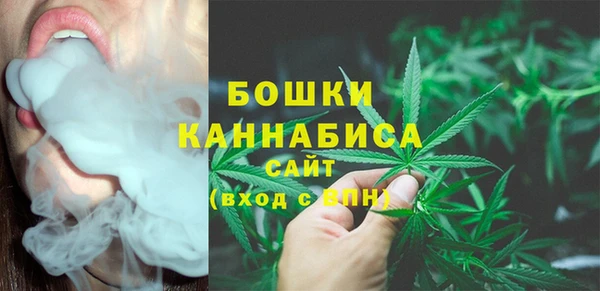 тгк Карпинск