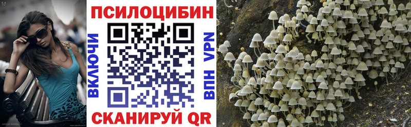 Псилоцибиновые грибы Cubensis  Купить где  Ермолино 